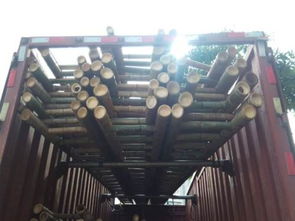 北京竹竿定做竹籬笆廠家 傳統與現代結合的建筑材料選擇